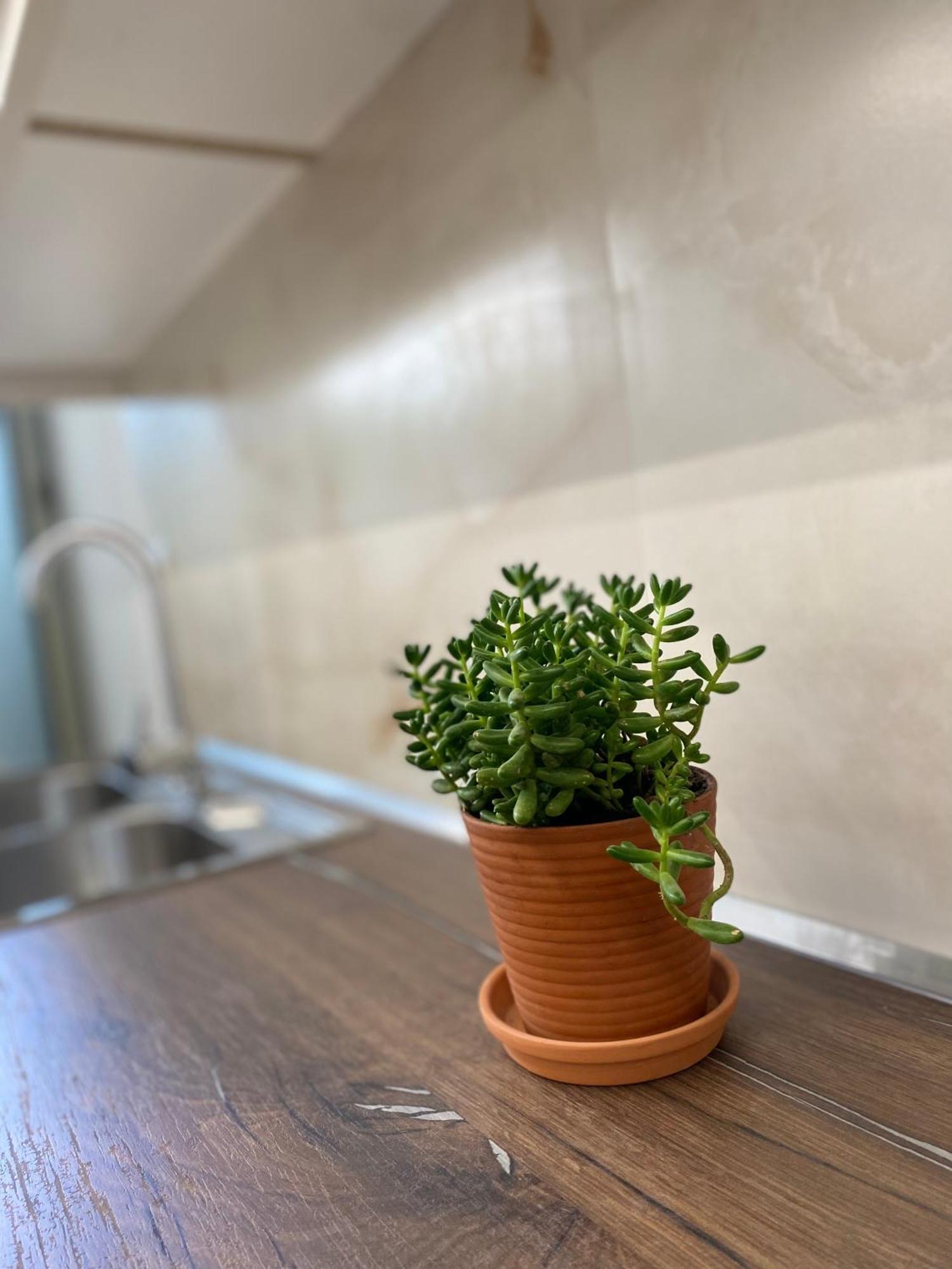 Flors Apartments Дуррес Экстерьер фото